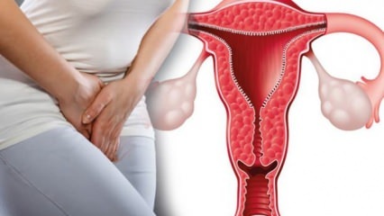 Qual é o espessamento da parede uterina? Quanto deve ser a espessura da parede uterina durante a gravidez?