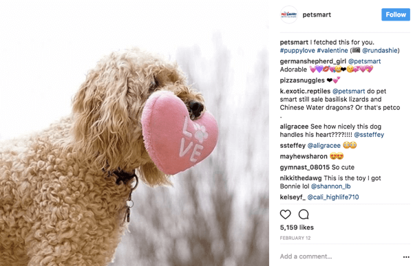 Quando o PetSmart compartilha novamente as fotos dos usuários no Instagram, eles dão crédito à foto ao postador original na legenda.