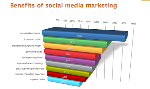 Relatório da indústria de marketing de mídia social de 2012