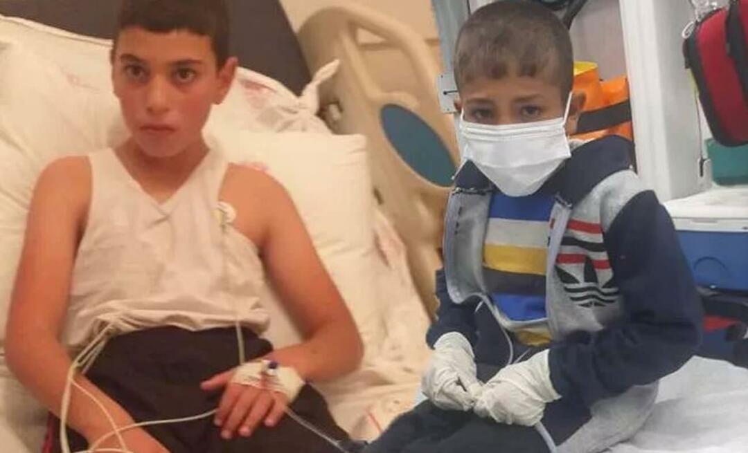 A criança com raiva está nos cuidados intensivos! Bahadır Yenişehirlioğlu atacou