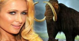 Paris Hilton investiu seu dinheiro em mamutes! 