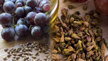 Quais são os benefícios da semente de uva? Se você engolir duas sementes de uva ...