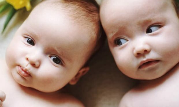 Se houver gêmeos na família, as chances de gravidez gemelar aumentam? Cavalos de geração?