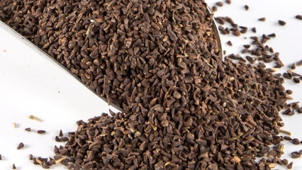 Quais são os benefícios da semente Uzerlik? Como recuperar as sementes do chá Üzerlik?