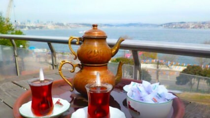 Jardins de chá da família no lado europeu de Istambul