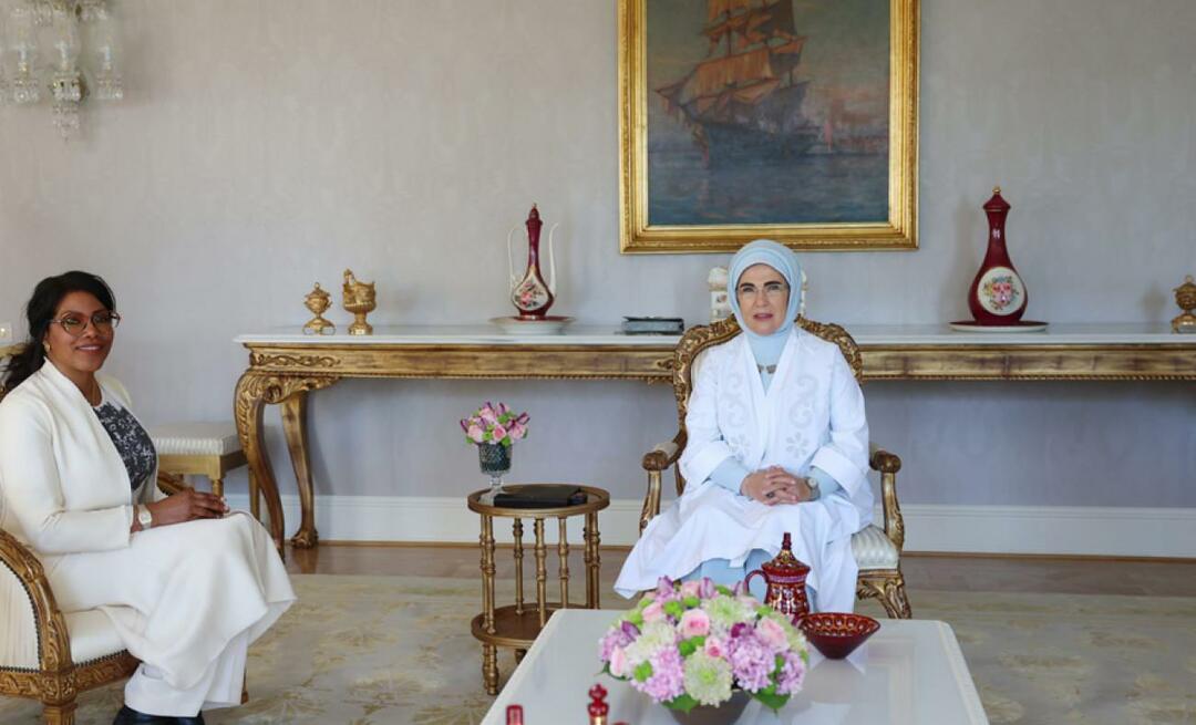 A primeira-dama Erdoğan encontrou-se com a filha de Malcolm X, İlyasa Şahbaz