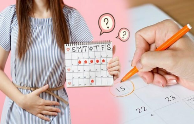 Calendário de cálculo do período de ovulação