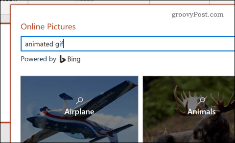 Procurando por um gif animado no PowerPoint