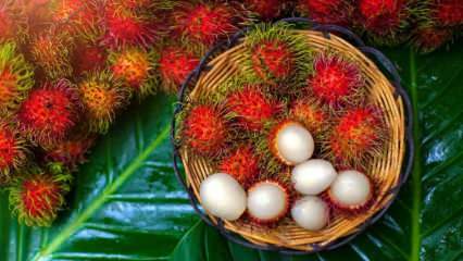 O que é o Rambutan? Quais são os benefícios da fruta Rambutan? Como comer rambutan?