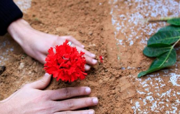 semear flores no túmulo