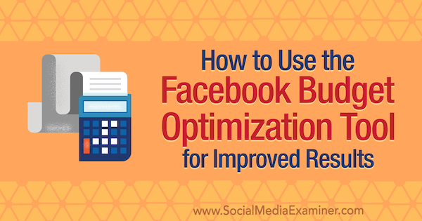 Como usar a ferramenta de otimização de orçamento do Facebook para resultados aprimorados por Meg Brunson no examinador de mídia social.
