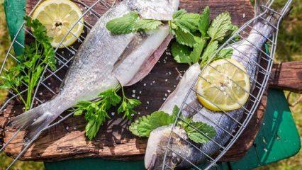 As formas mais saudáveis ​​de cozinhar peixe