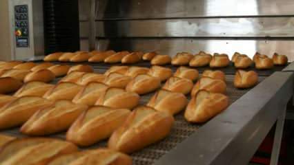 Especialistas alertaram: Coloque os pães no forno a 90 graus por 10 minutos