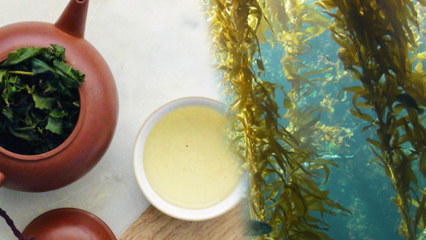 Quais são os benefícios do musgo? Como fazer chá de algas marinhas e para que serve?