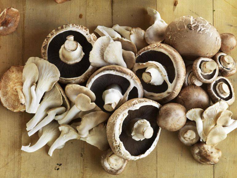Truques para saber quando cozinhar cogumelos