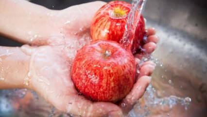 Como são lavados os legumes e as frutas? Como entender frutas e vegetais orgânicos?