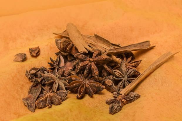 Quais são os benefícios da semente de anis? Como fazer chá de anis e o que ele faz?