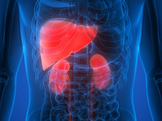 Quais são os sintomas do câncer de fígado? Existe tratamento para câncer de fígado?