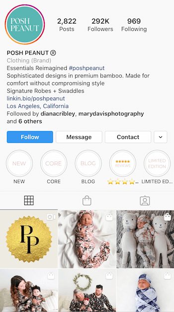 exemplo de Instagram bio otimizado para negócios