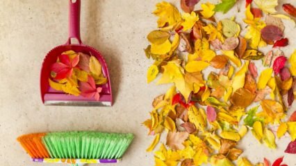 Métodos práticos para a limpeza do outono