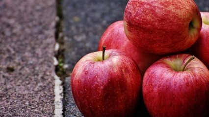Quais são os benefícios de consumir maçãs durante a gravidez?