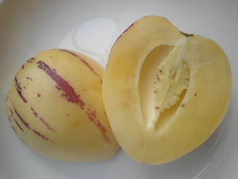 pepino é cortado como um melão como uma imagem