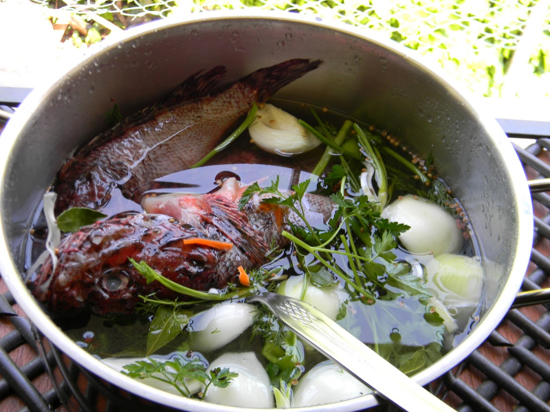 Como fazer a sopa de peixe escorpião mais fácil? Dicas para sopa de escorpião
