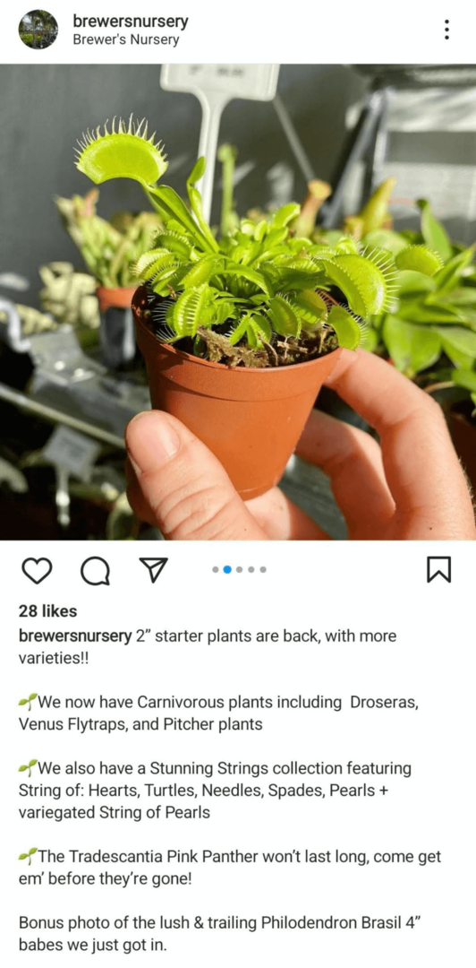 imagem da postagem do feed do Instagram mostrando um produto