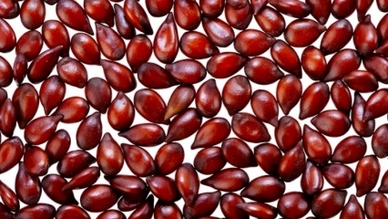 Quais são os benefícios das sementes de marmelo para a pele? Como a semente de marmelo é aplicada à pele?