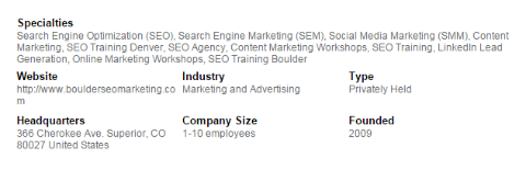 exemplo de especialidades do LinkedIn de seo marketing de pedregulho