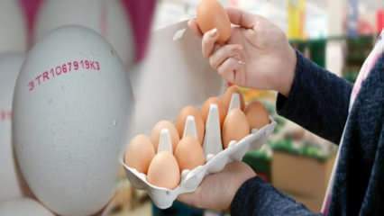 Como o ovo orgânico é entendido? O que significam os códigos do ovo?