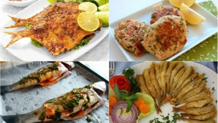 Deliciosas receitas feitas com peixe