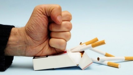 Efeitos de parar de fumar no corpo! O que acontece no corpo quando você para de fumar?