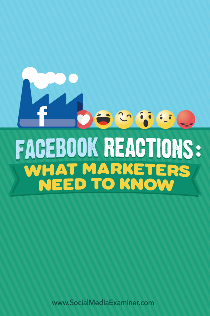 Reações do Facebook: o que os profissionais de marketing precisam saber: examinador de mídia social