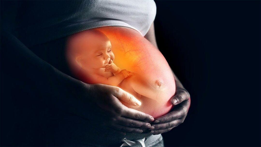 Como alimentar o bebê no útero da mãe