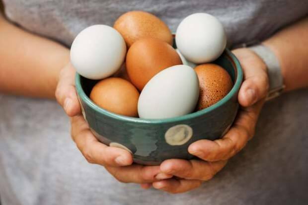 Como é feita a análise orgânica dos ovos?
