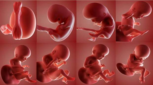 É dado um nome à criança que morreu no útero?
