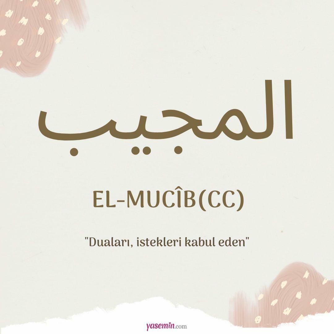 O que al-Mujib (cc) significa?