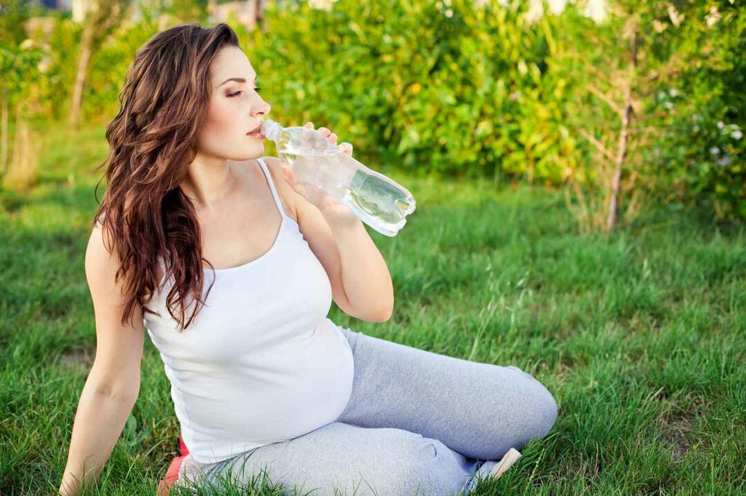 ingestão de líquidos durante a gravidez