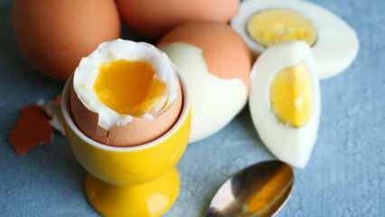 Quais são os efeitos de comer 2 ovos em sahur todos os dias no corpo?