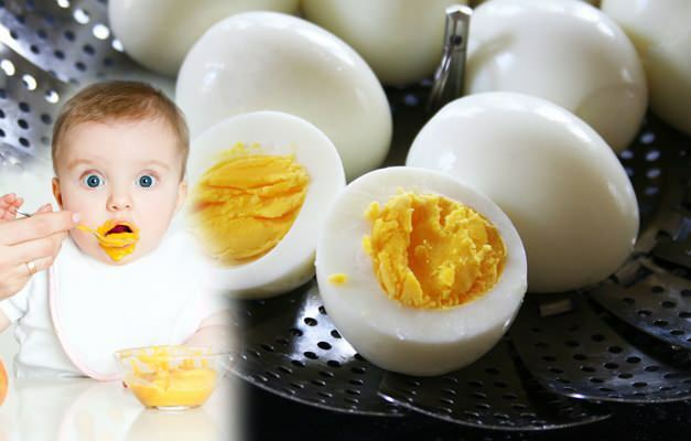 Como alimentar gemas de ovos para bebês? Quando a gema de ovo é dada aos bebês?
