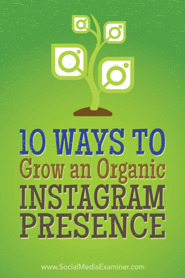 Dicas sobre 10 táticas que os principais profissionais de marketing usaram para ganhar organicamente mais seguidores no Instagram.