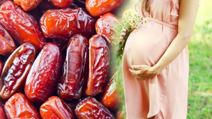 O que é açúcar de palma? Os benefícios de comer datas durante a gravidez e o consumo de açúcar de palma ...