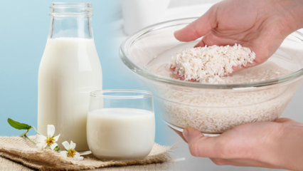 Como preparar leite de arroz para queima de gordura? Método de emagrecimento com leite de arroz