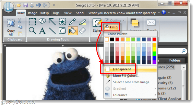 defina a cor de preenchimento como transparente no snagit 10