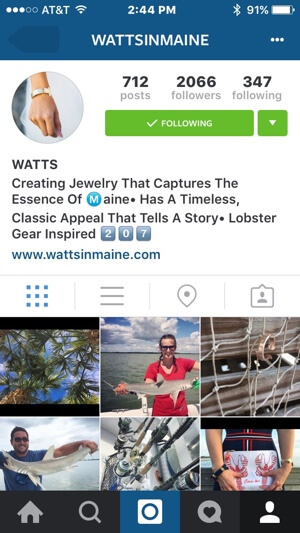 exemplo de branding de perfil instagram