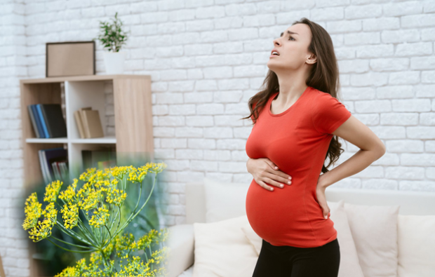 remédio natural para dor lombar na gravidez