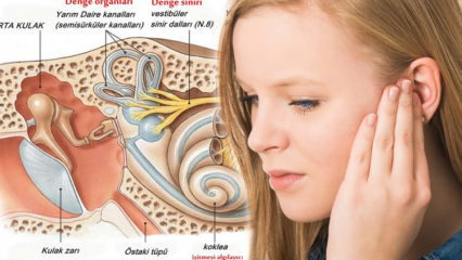 O que causa o deslocamento do cristal da orelha? Sinais de cristal ouvido