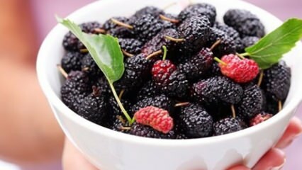 Como entender berry natural? Como escolher uma boa baga?