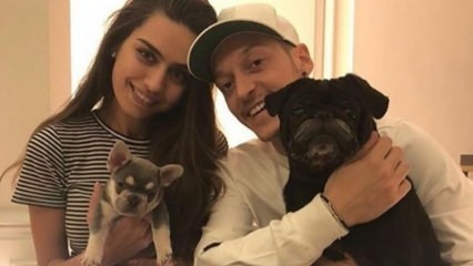 Mesut Özil comemora o aniversário de sua noiva Amine Gülşe